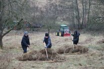 Drei Studierende rechen das Gras den Hang hinunter