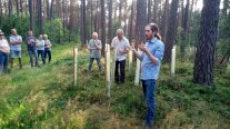 Mehrere Personen im Wald